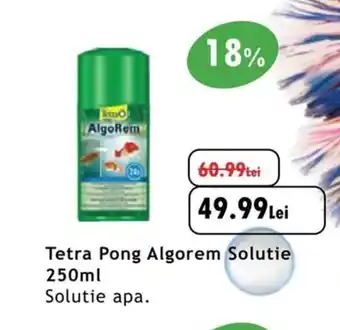 Tetra Pong Algorem Solutie 250ml