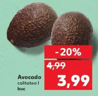 Kaufland Avocado Ofertă