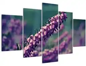 Favi Tablou cu lavanda (150x105 cm) Ofertă