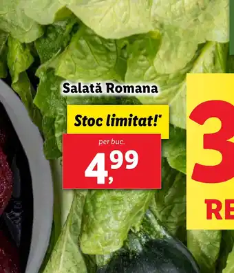 Lidl Salată Romana Ofertă
