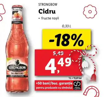 Lidl STRONGBOW Cidru Ofertă