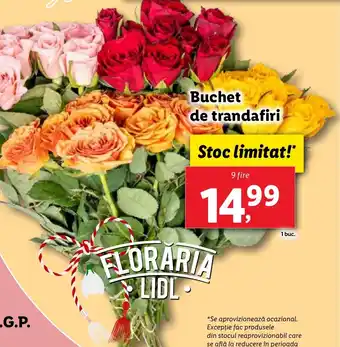 Lidl Buchet de trandafiri Ofertă
