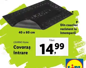Lidl Covoras intrare Ofertă