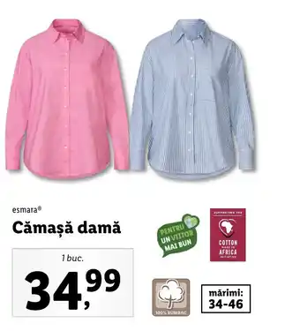 Lidl Cămașă damă Ofertă