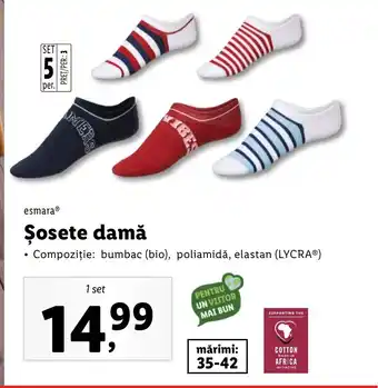 Lidl Șosete damă Ofertă
