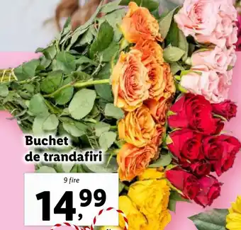 Lidl Buchet de trandafiri Ofertă