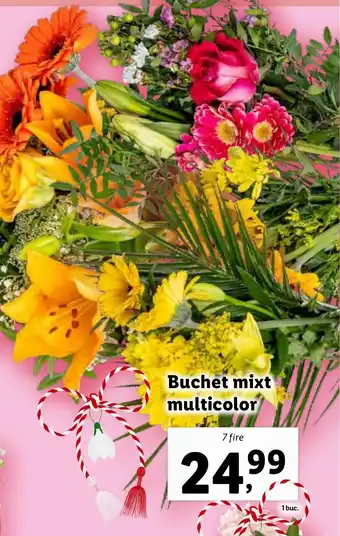 Lidl Buchet mixt multicolor Ofertă