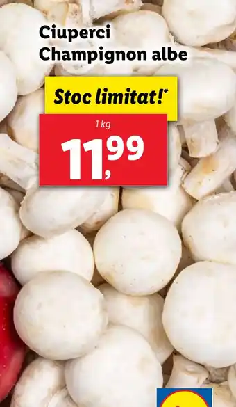 Lidl Ciuperci Champignon albe Ofertă