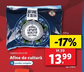 Lidl CĂMARA NOASTRĂ Afine de cultură Ofertă