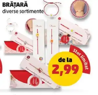 Penny BRĂȚARĂ Ofertă