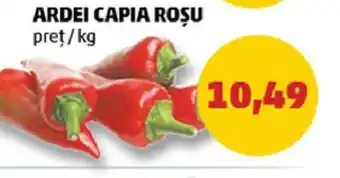 Penny ARDEI CAPIA ROȘU Ofertă