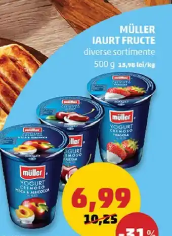 Penny MÜLLER IAURT FRUCTE Ofertă