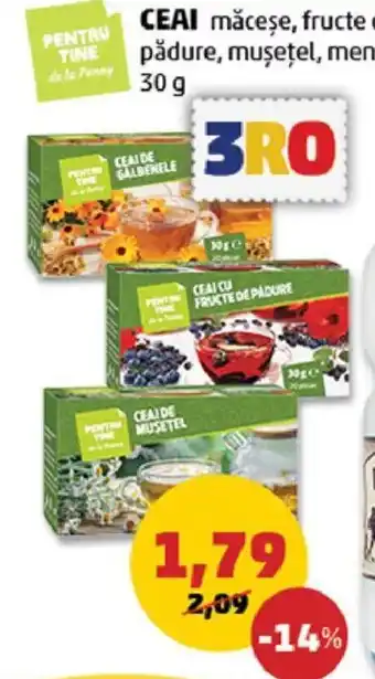 Penny CEAI Ofertă