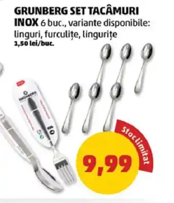 Penny GRUNBERG SET TACÂMURI INOX Ofertă