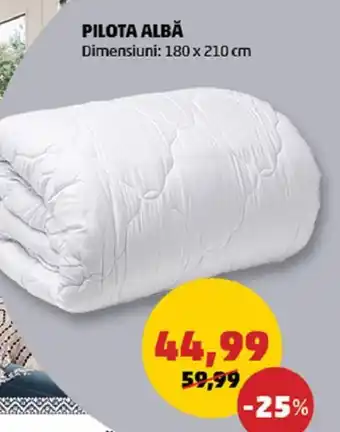 Penny PILOTA ALBĂ Ofertă
