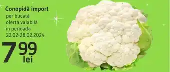 Supeco Conopidă import Ofertă