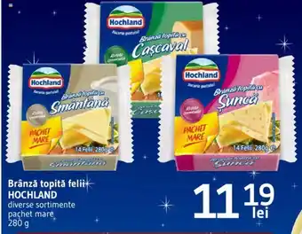 Supeco Brânză topită felii HOCHLAND Ofertă