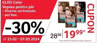 Selgros GLISS Color Vopsea pentru păr Ofertă