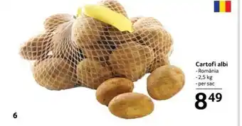 Selgros Cartofi albi Ofertă