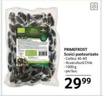 Selgros PRIMEFROST Scoici pasteurizate Ofertă