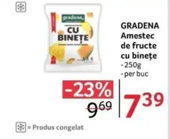 Selgros GRADENA Amestec de fructe cu bineţe Ofertă