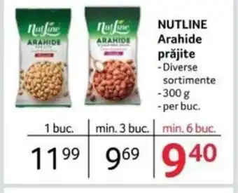 Selgros NUTLINE Arahide prăjite Ofertă