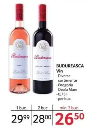 Selgros BUDUREASCA Vin Ofertă