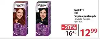 Selgros PALETTE ICC Vopsea pentru păr Ofertă