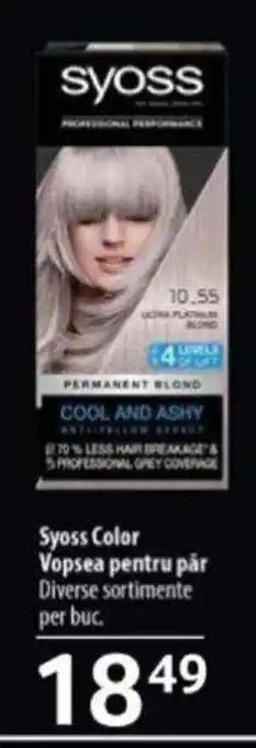 Selgros Syoss Color Vopsea pentru păr Ofertă