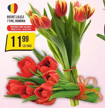 Mega Image BUCHET LALELE 7 FIRE, ROMÂNIA Ofertă