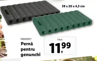 Lidl Pernă pentru genunchi Ofertă