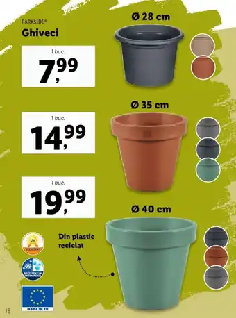 Lidl Ghiveci Ofertă
