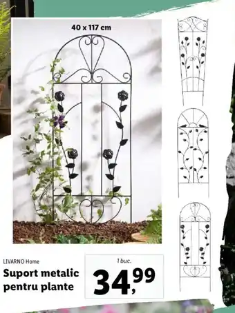 Lidl Suport metalic pentru plante Ofertă