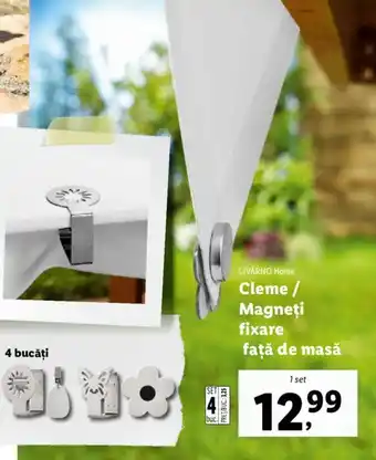 Lidl Cleme / Magneți fixare faţă de masă Ofertă