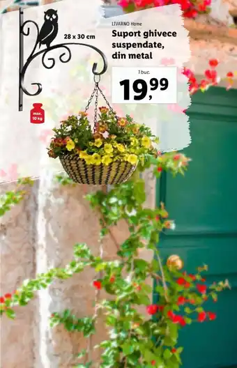 Lidl Suport ghivece suspendate, din metal Ofertă