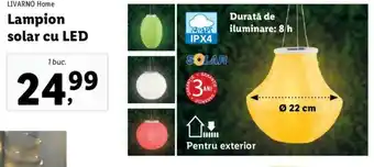 Lidl Lampion solar cu LED Ofertă