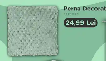 Jumbo Perna Decorativa Ofertă