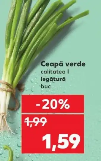 Kaufland Ceapă verde Ofertă