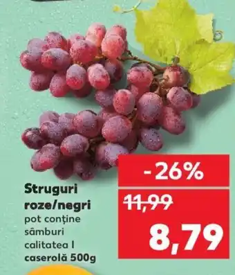 Kaufland Struguri roze/negri Ofertă