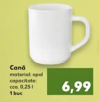 Kaufland Cană Ofertă
