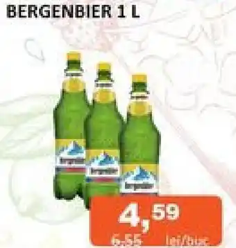 BERGENBIER 1 L