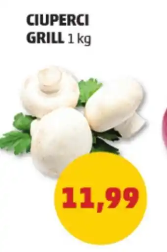 Penny CIUPERCI GRILL Ofertă