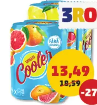 Penny URSUS COOLER MIX DE BERE FĂRA ALCOOL ȘI SUC Ofertă