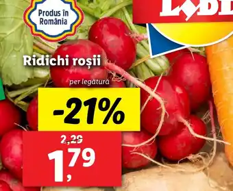 Lidl Ridichi roşii Ofertă