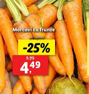 Lidl Morcovi cu frunze Ofertă