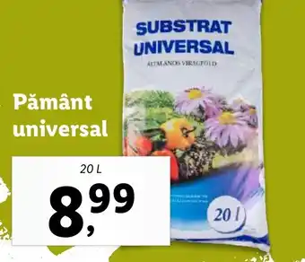 Lidl Pământ universal Ofertă