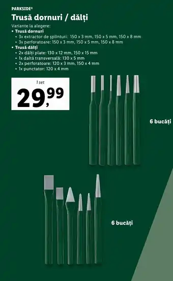 Lidl PARKSIDEⓇ Trusă dornuri / dălți Ofertă