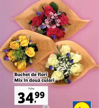 Lidl Buchet de flori Mix în două culori Ofertă