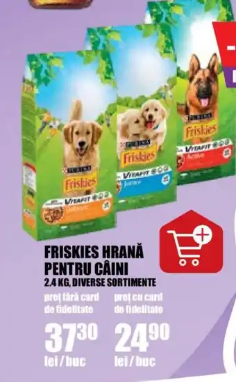 Auchan FRISKIES HRANĂ PENTRU CÂINI Ofertă