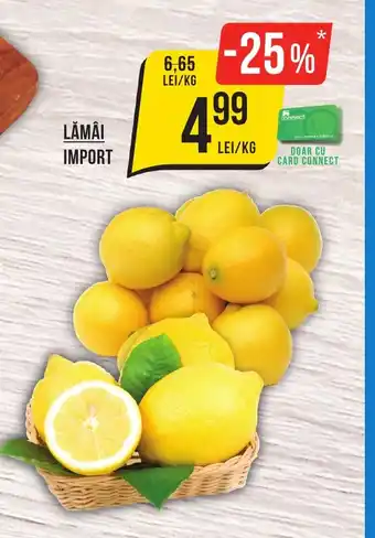LĂMÂI IMPORT